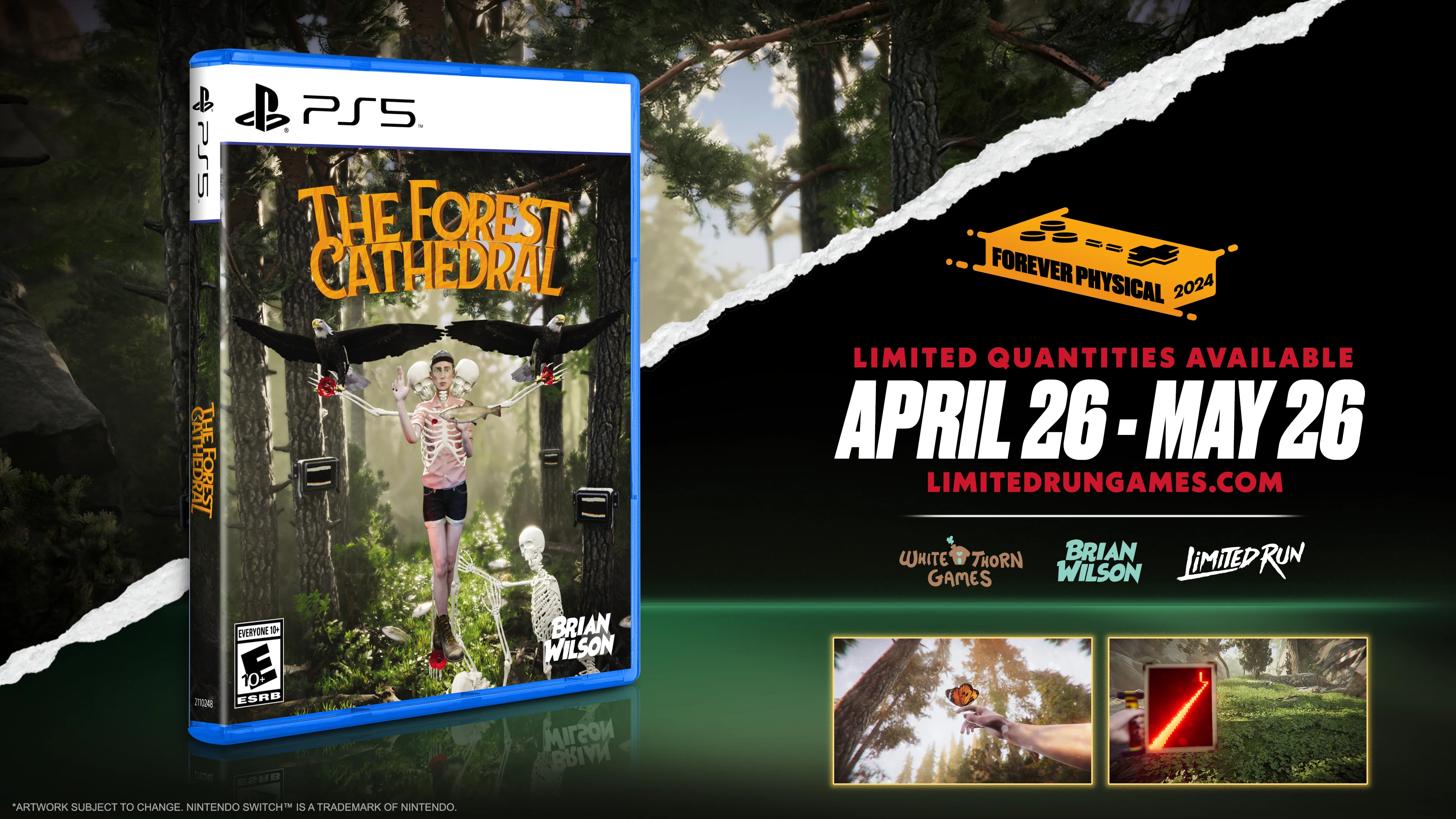 2464-ps5-limited-run-91-the-forest-cathedral-1.webp