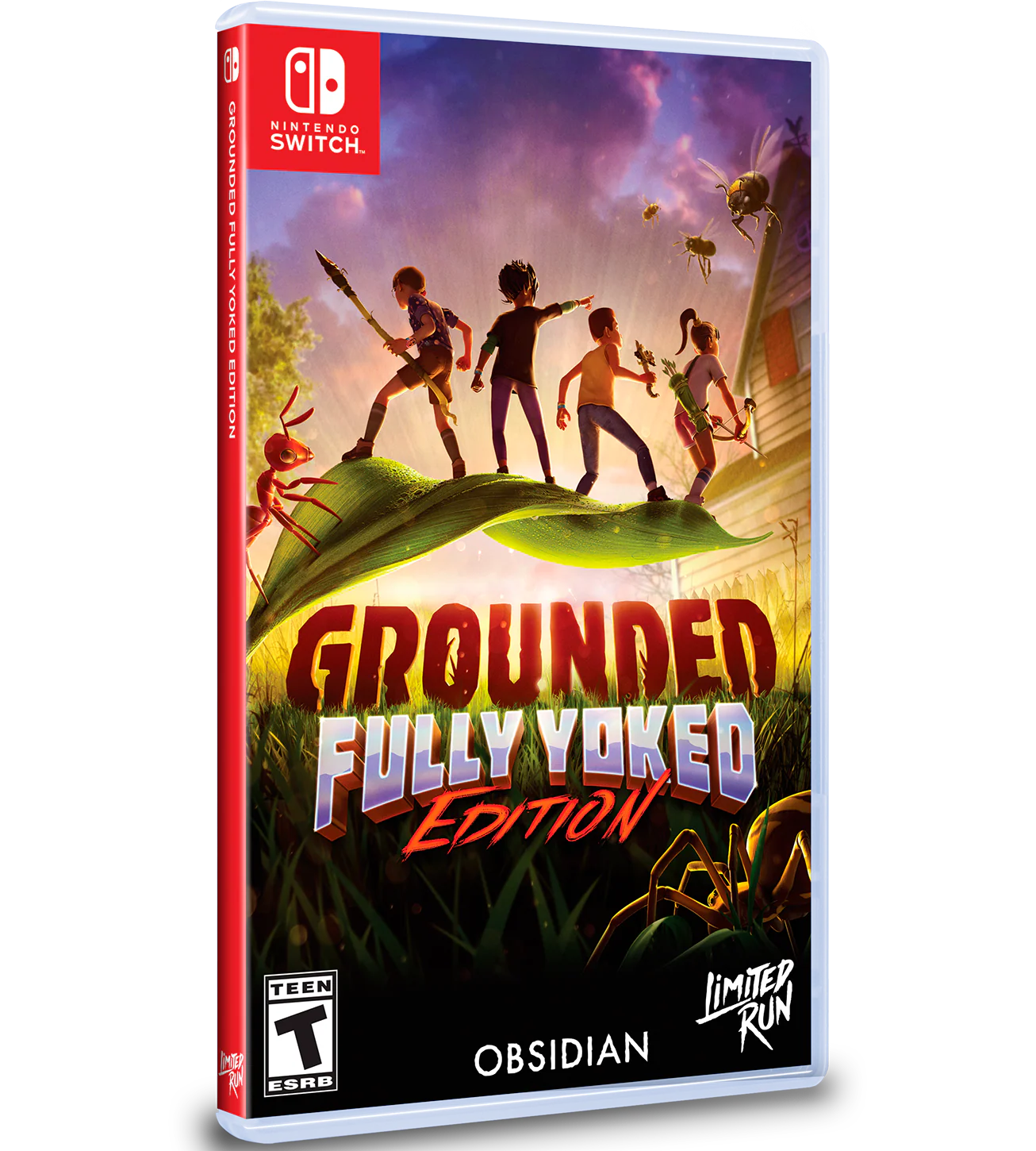 Switch Limited Run #231: Grounded Fully Yoked Edition