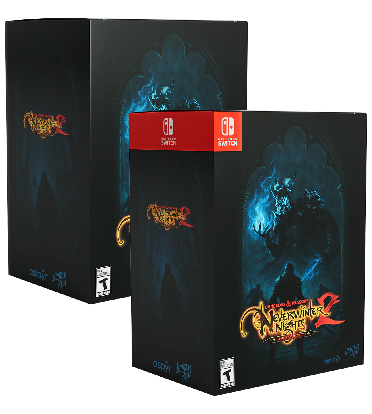 Dungeons & Dragons Neverwinter Nights 2: Enhanced Edition Collector's Edition (Switch, PS5, Xbox, PC)